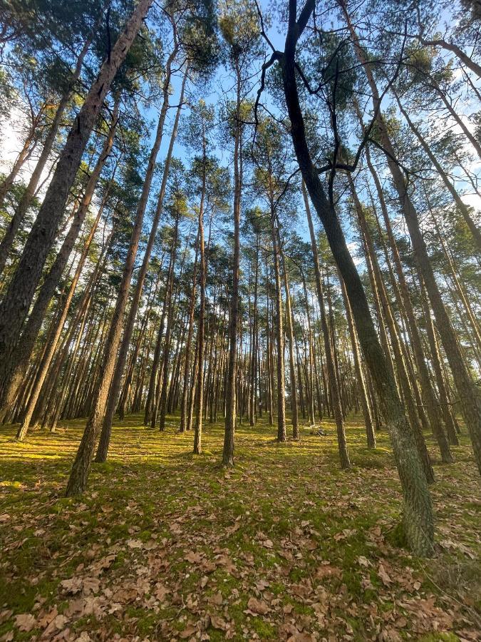 Park Rekreacyjno-Biznesowy Las Woda วิลกา ภายนอก รูปภาพ
