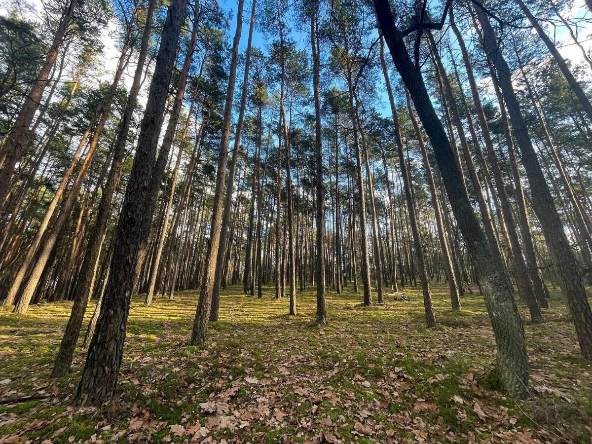 Park Rekreacyjno-Biznesowy Las Woda วิลกา ภายนอก รูปภาพ